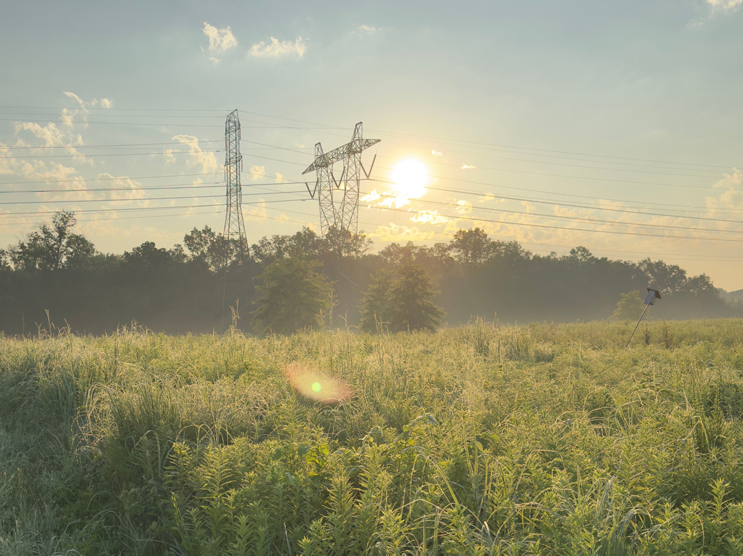 Negri-Napote Native Grassland Preserve-萨默塞特必去景点