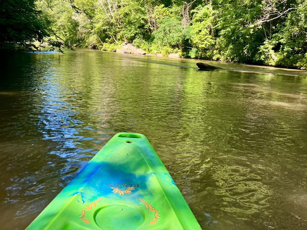 Chestatee River Adventures-达洛尼加必去景点