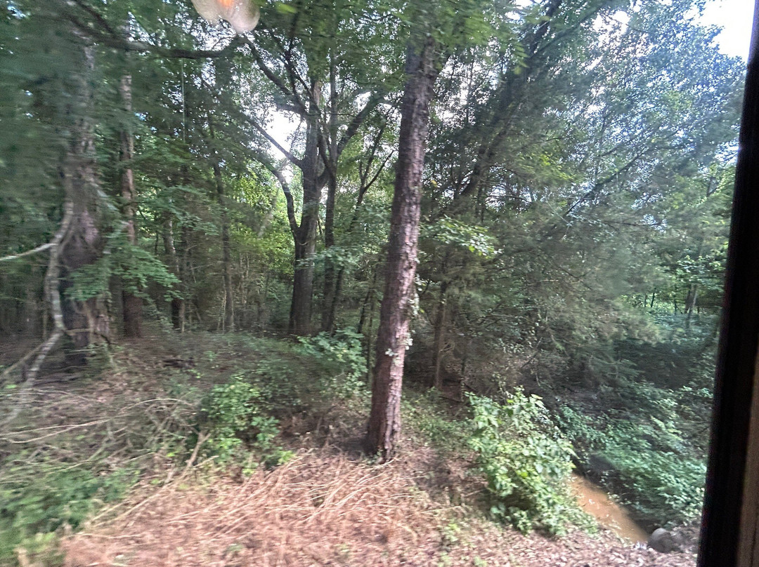 Texas State Railroad-Palestine必去景点