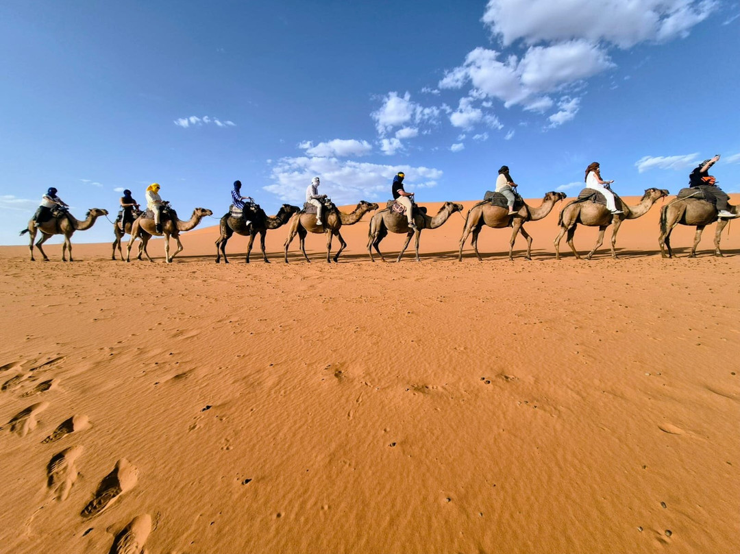 Saharies-马拉喀什必去景点