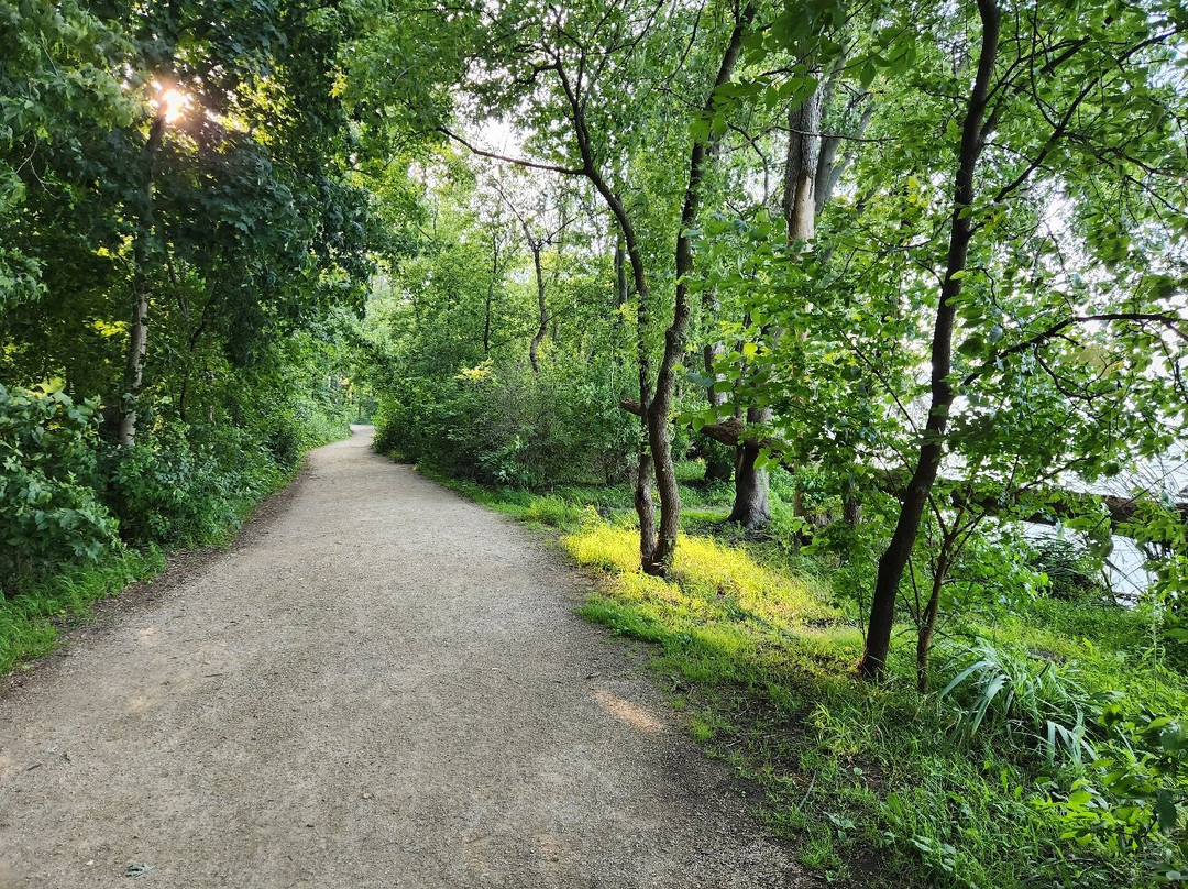 Lakeshore Nature Preserve at University of Wisconsin-麦迪逊必去景点