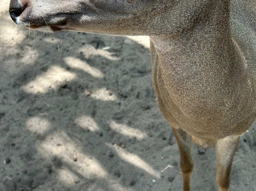 La Ventanilla-La Ventanilla必去景点