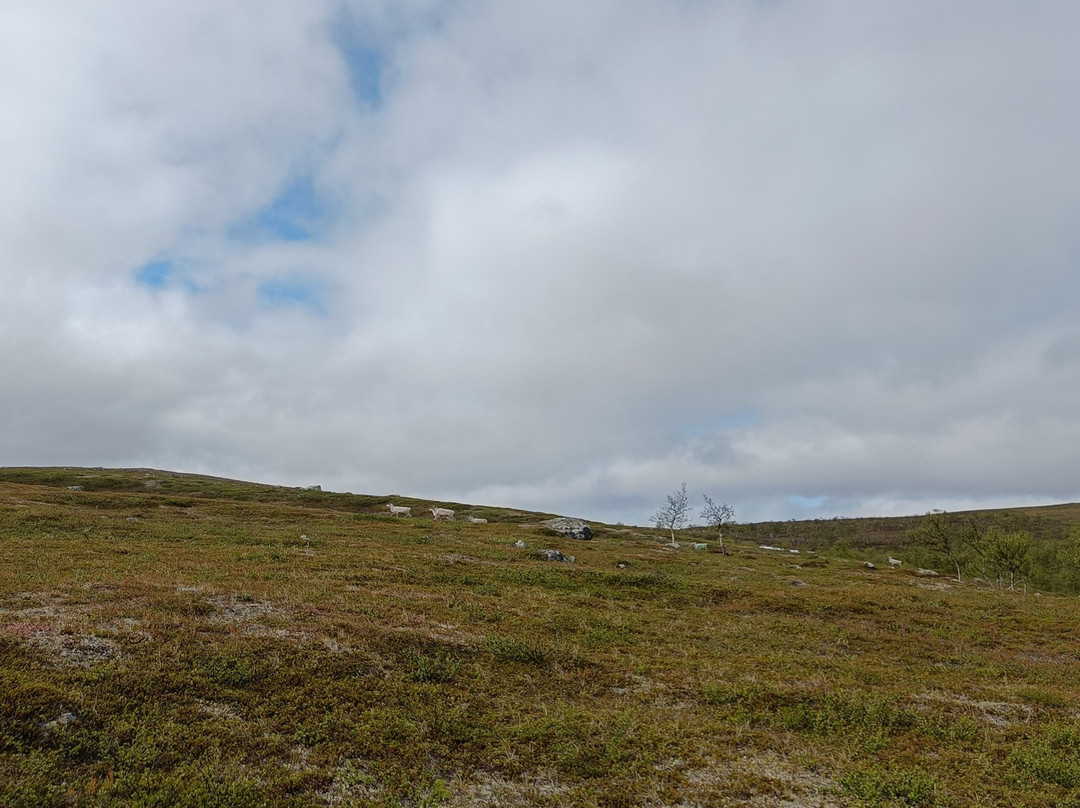 Travel Utsjoki-Utsjoki必去景点