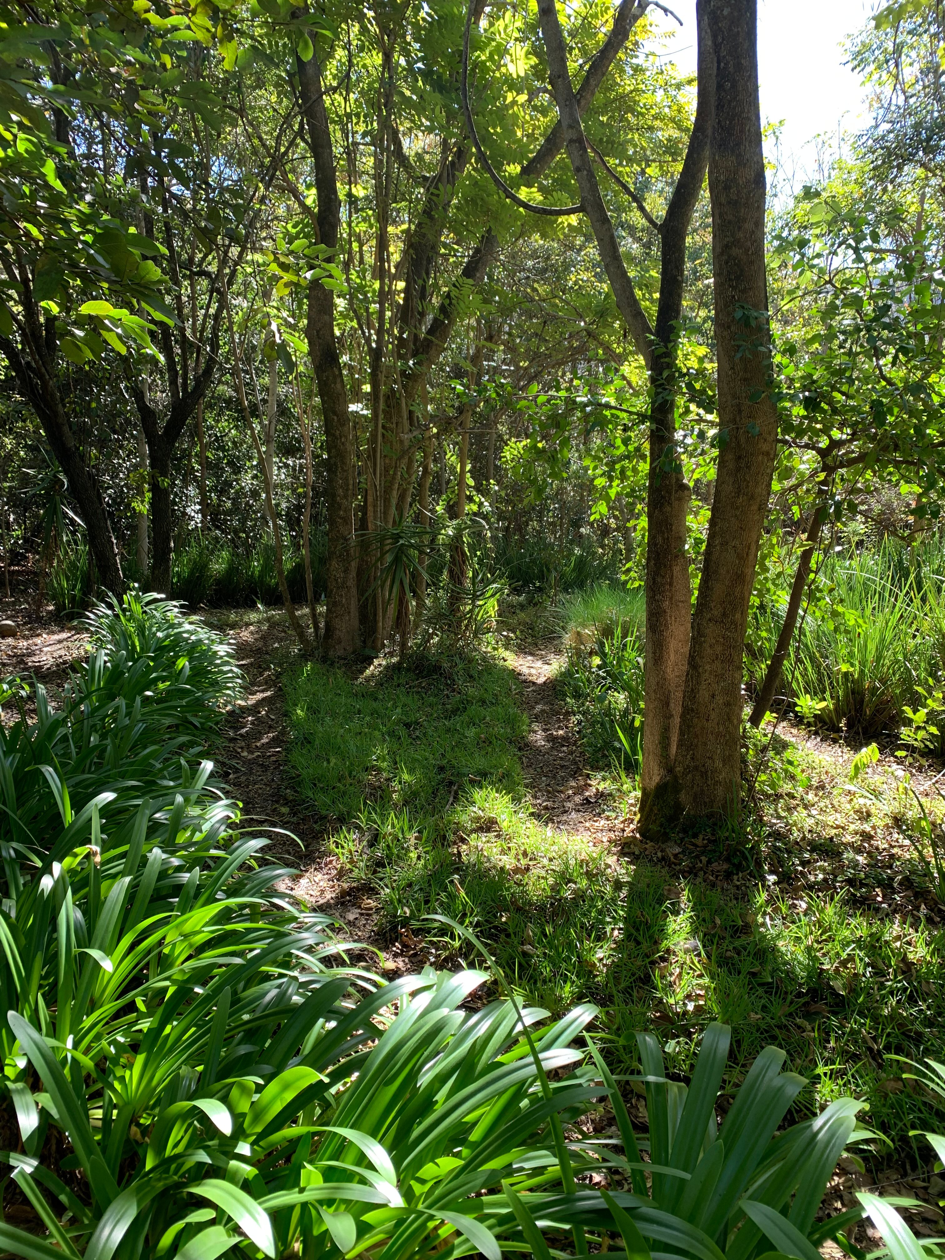 Old Joe's Kaia-浴室