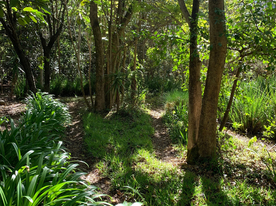 Old Joe's Kaia主图