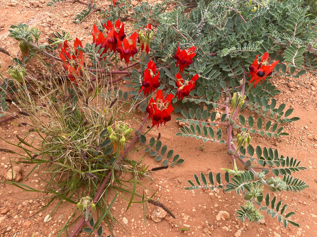 Inspiration Outdoors-弗里曼特尔必去景点