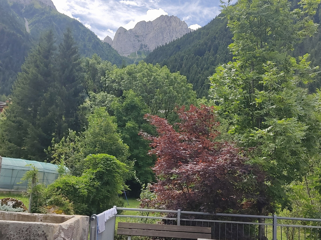 Albergo Edelweiss主图