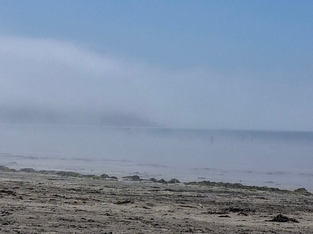 Newport Beach-Newport -Trefdraeth必去景点