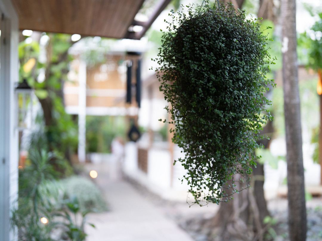 Moana Surf Resort主图