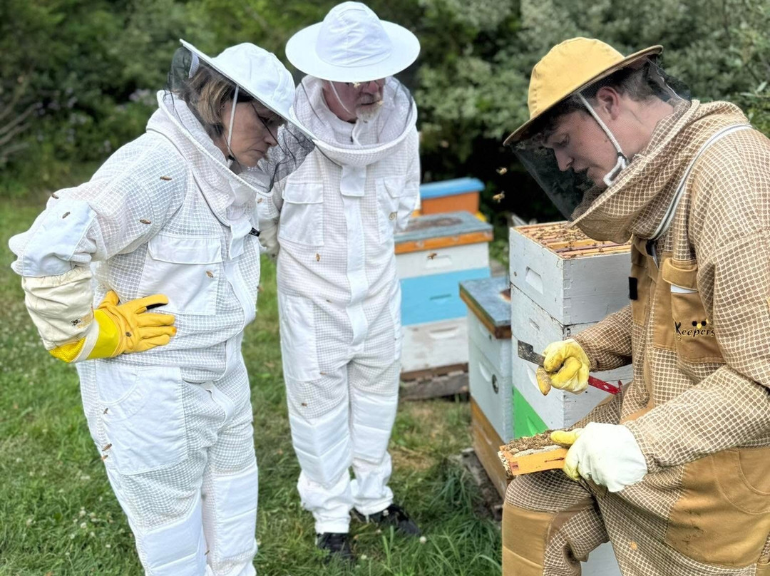 Dry Creek Beekeeping-Elizabeth必去景点