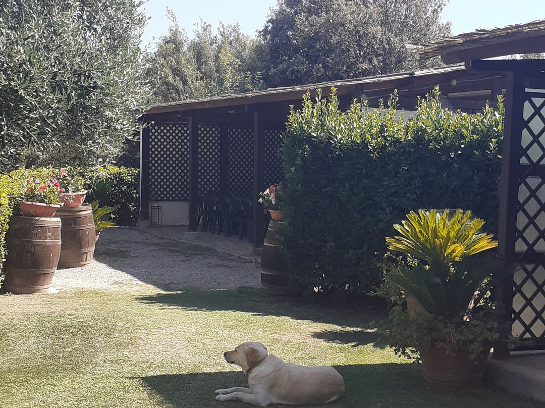 Il Giardino dell'Osa主图