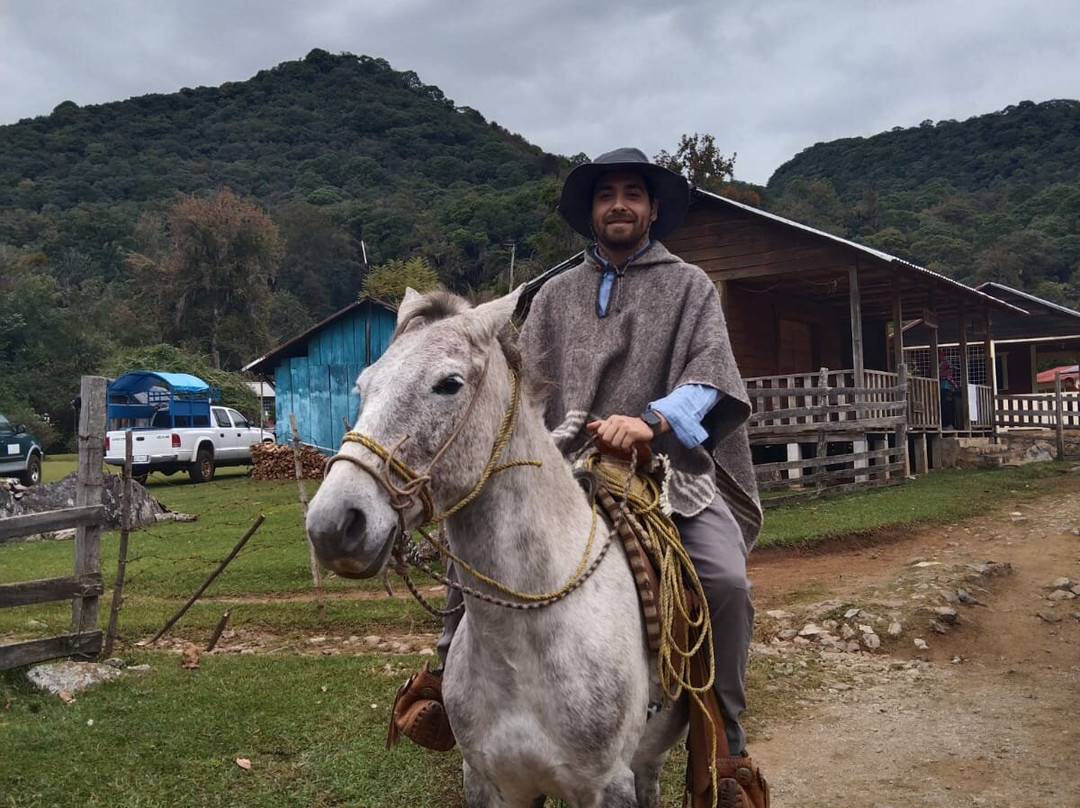 El Cielo International Biosphere Reserve / La Reserva Biosfera El Cielo-Gomez Farias必去景点