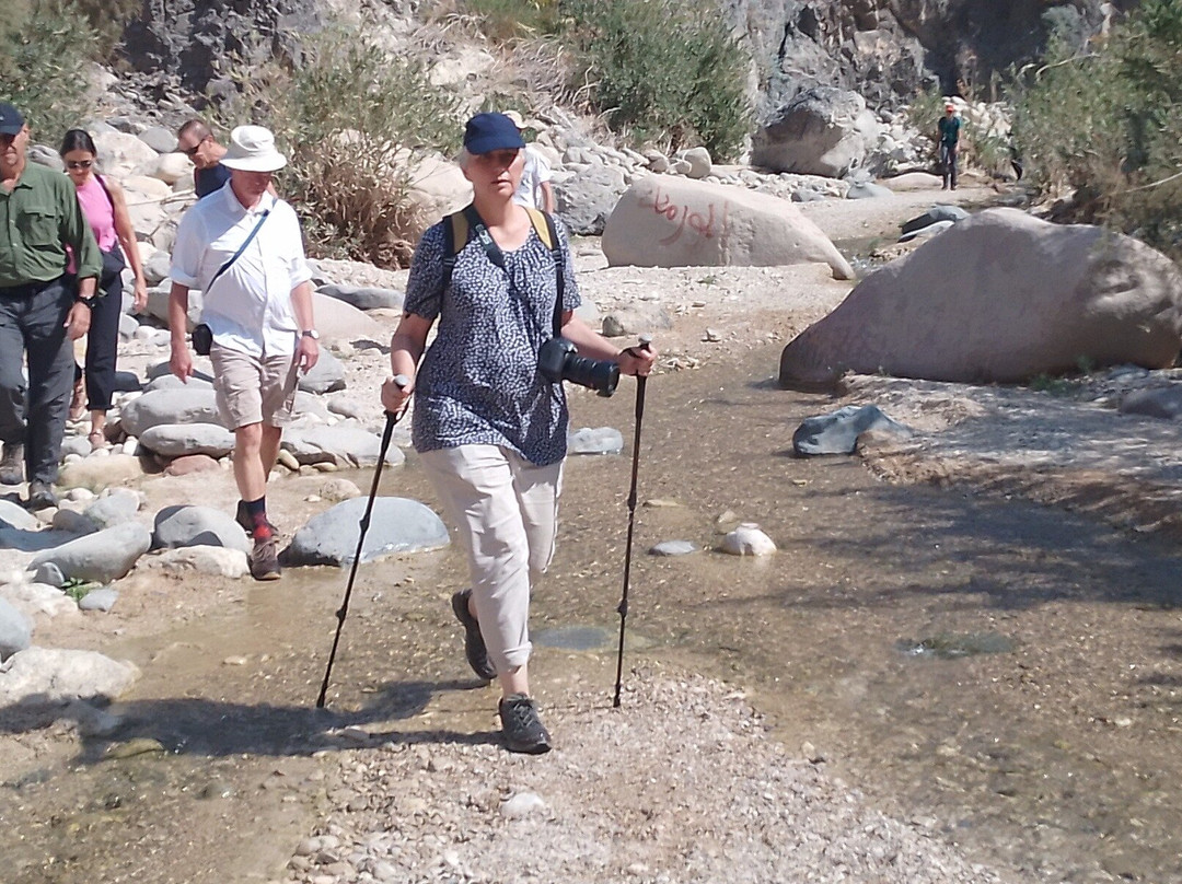 Jordan Bedouin Adventure Trails-Dana必去景点