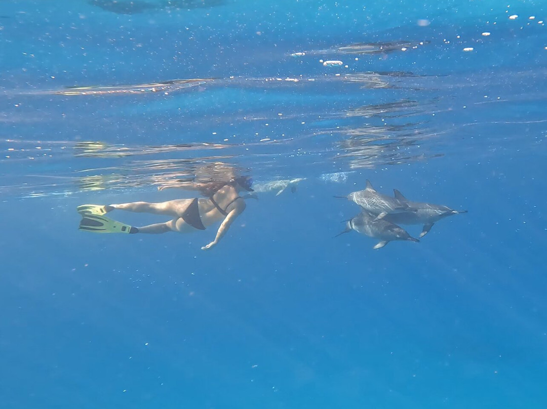 4 Ever Sea-马萨阿拉姆必去景点