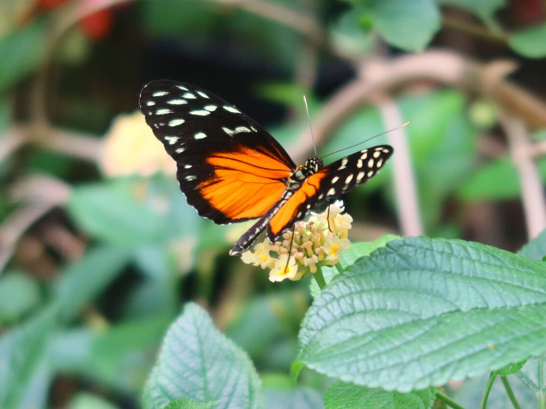 Lakeland Wildlife Oasis-Milnthorpe必去景点