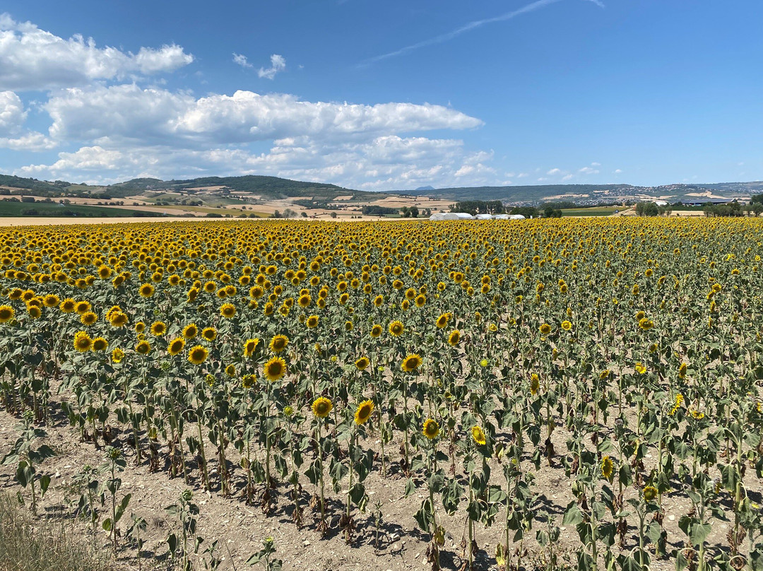 Orcet酒店住宿-Au Fond de la Cour