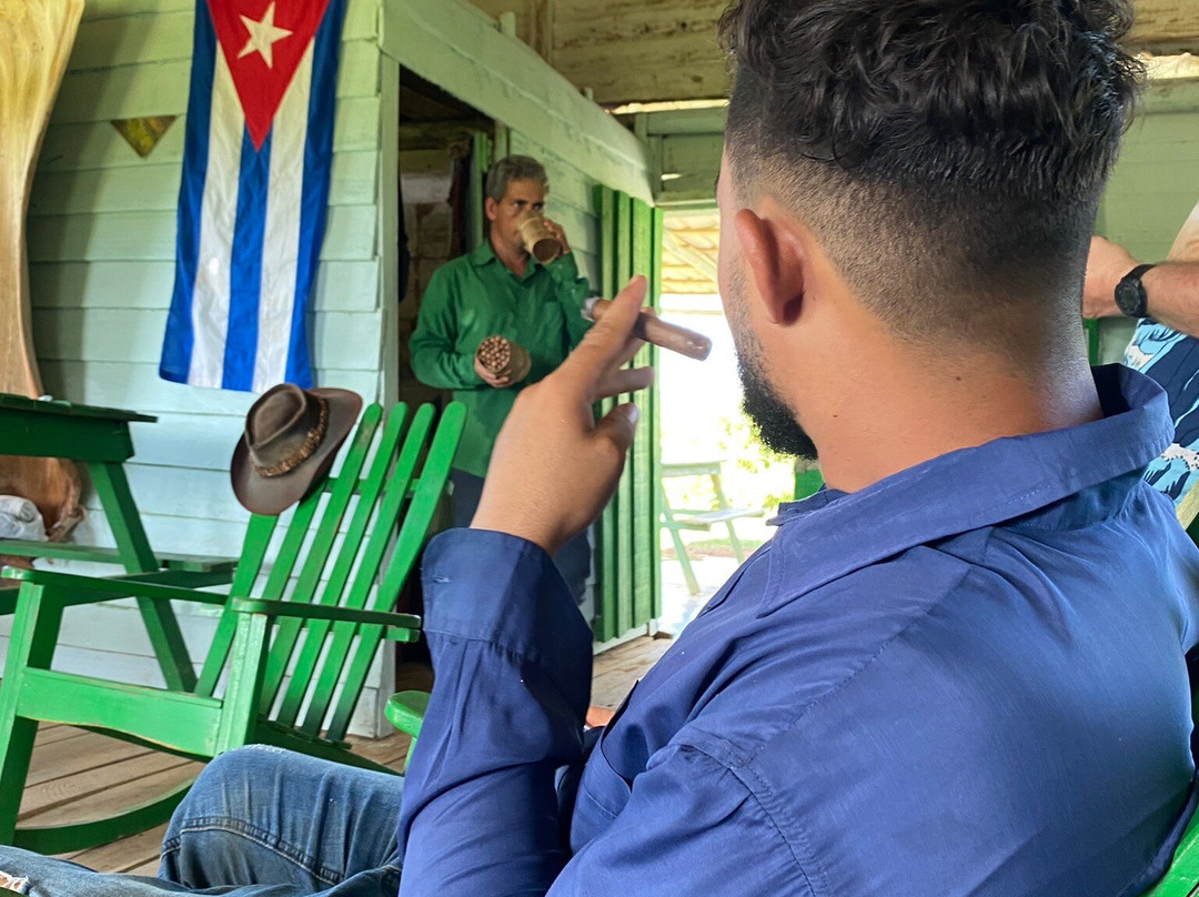 Un Paseo Por El Valle Palmarito-维纳勒斯必去景点