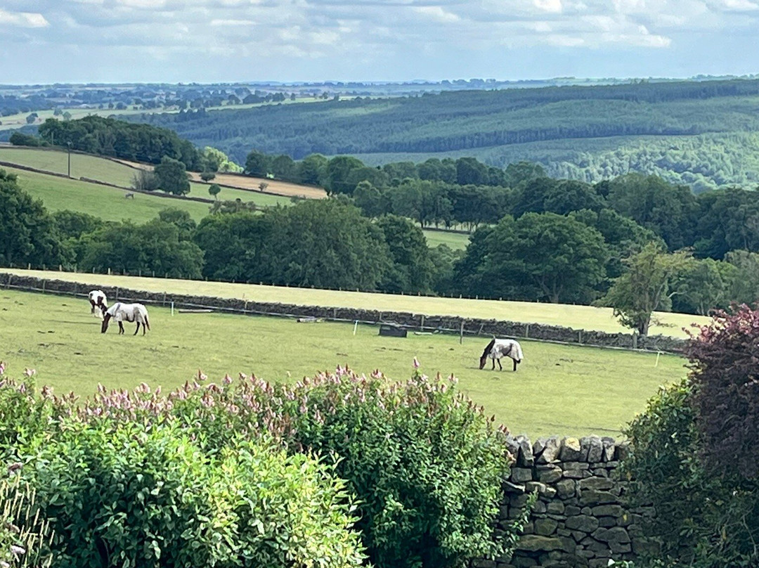 Greys Well Farm