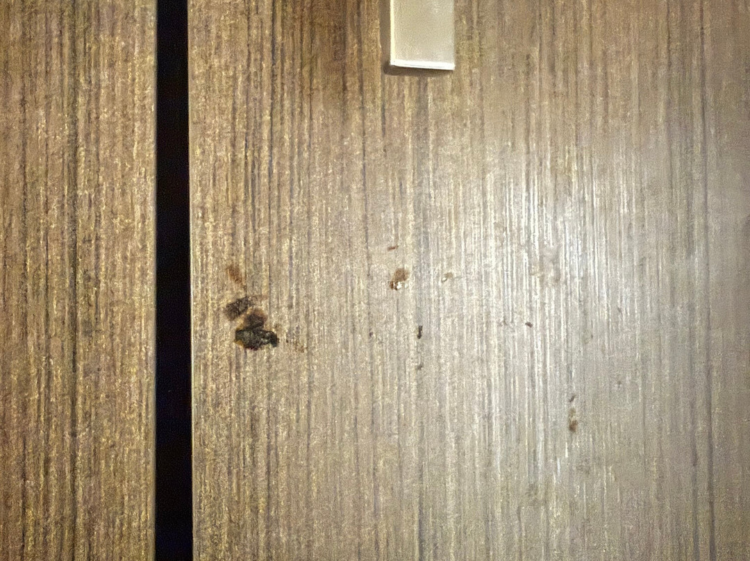 MainStay Suites Joliet I-55主图