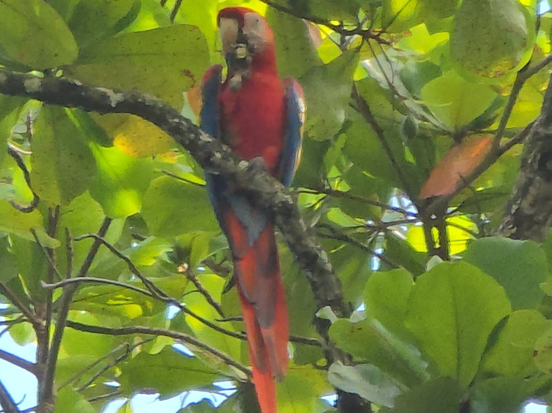 Tropical Waterfalls Tour-哥斯达黎加安东尼奥国家公园必去景点
