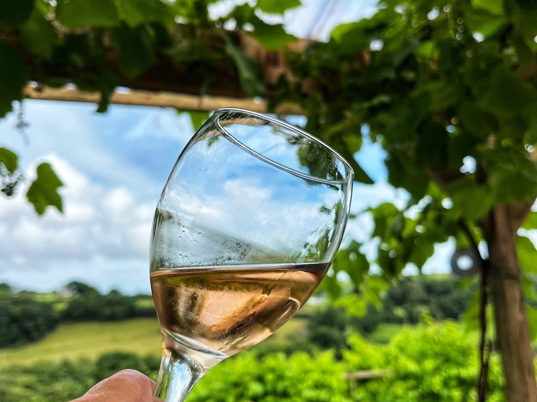 Looe Valley Vineyard-卢城必去景点