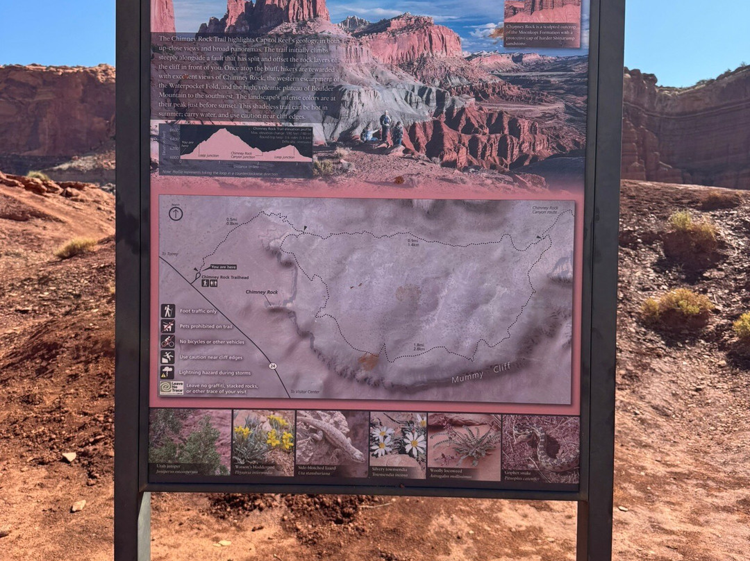 Chimney Rock Trail-圆顶礁国家公园必去景点