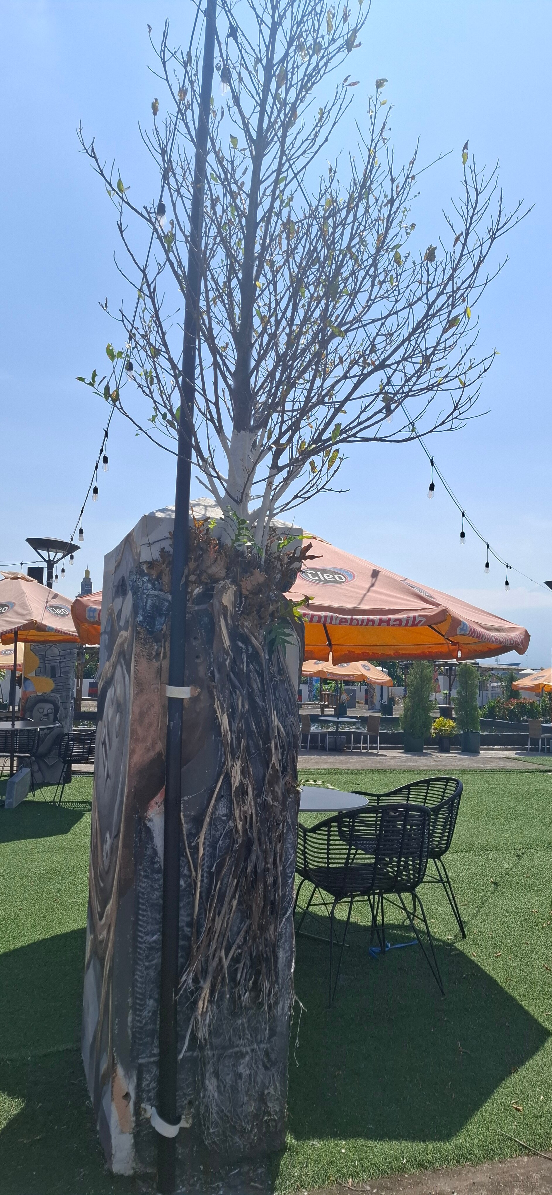 Swiss-Belinn Malang-官方