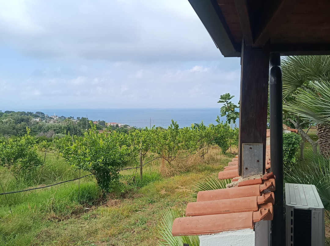 Hotel Residence Rosy主图