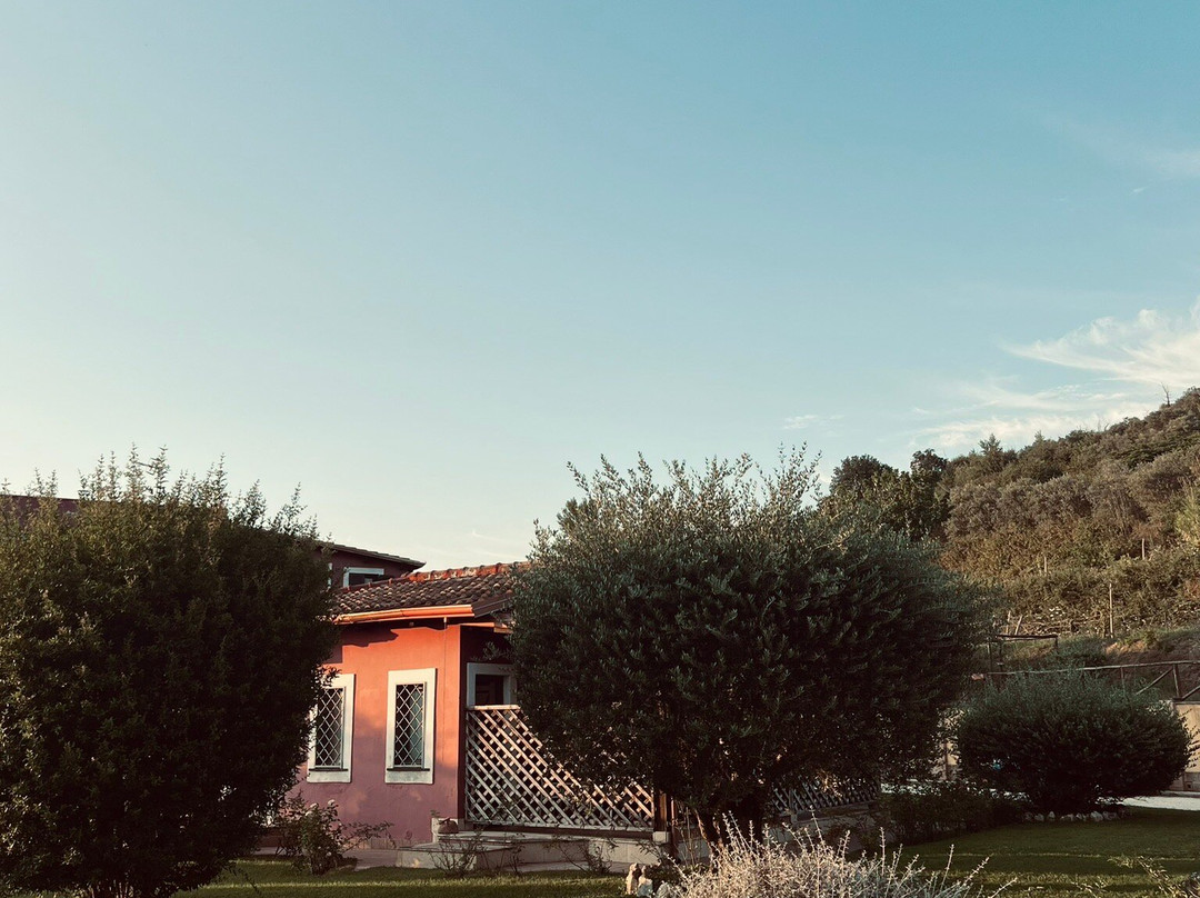 Agriturismo San Martino主图