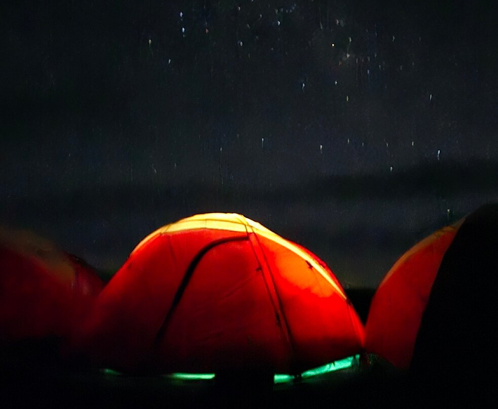 Dotcom Safaris Ltd-莫西必去景点