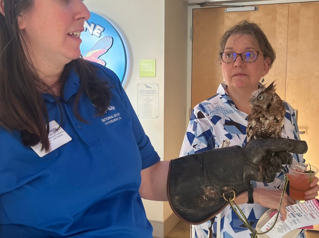 国家鸟类公园-匹兹堡必去景点