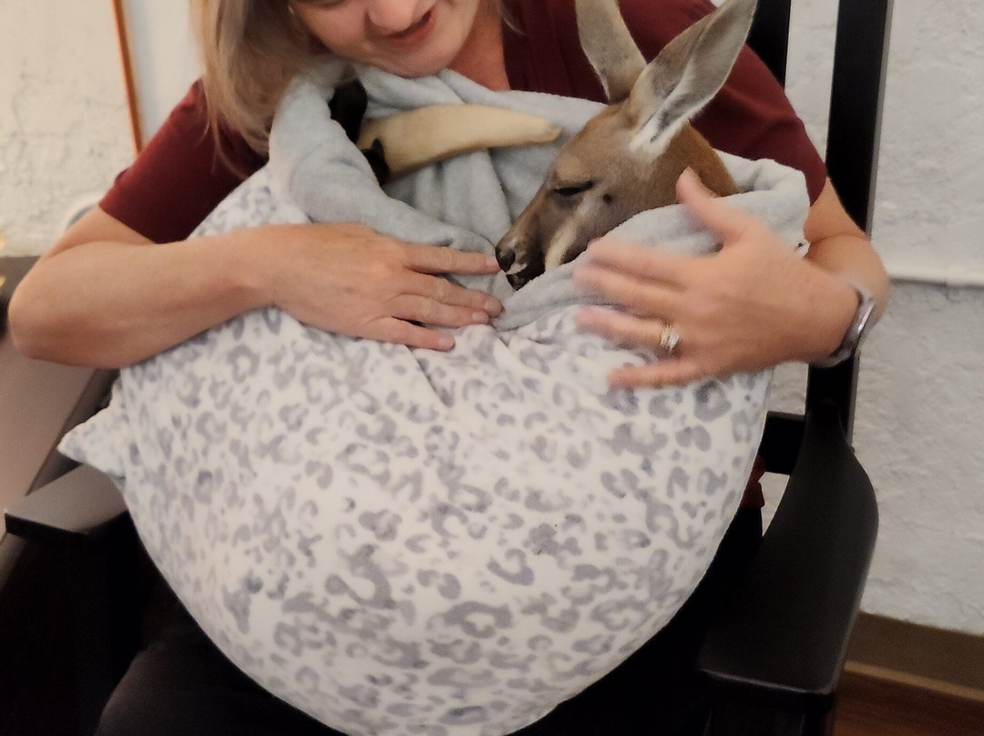 Kangaroo Ranch-Wheat Ridge必去景点