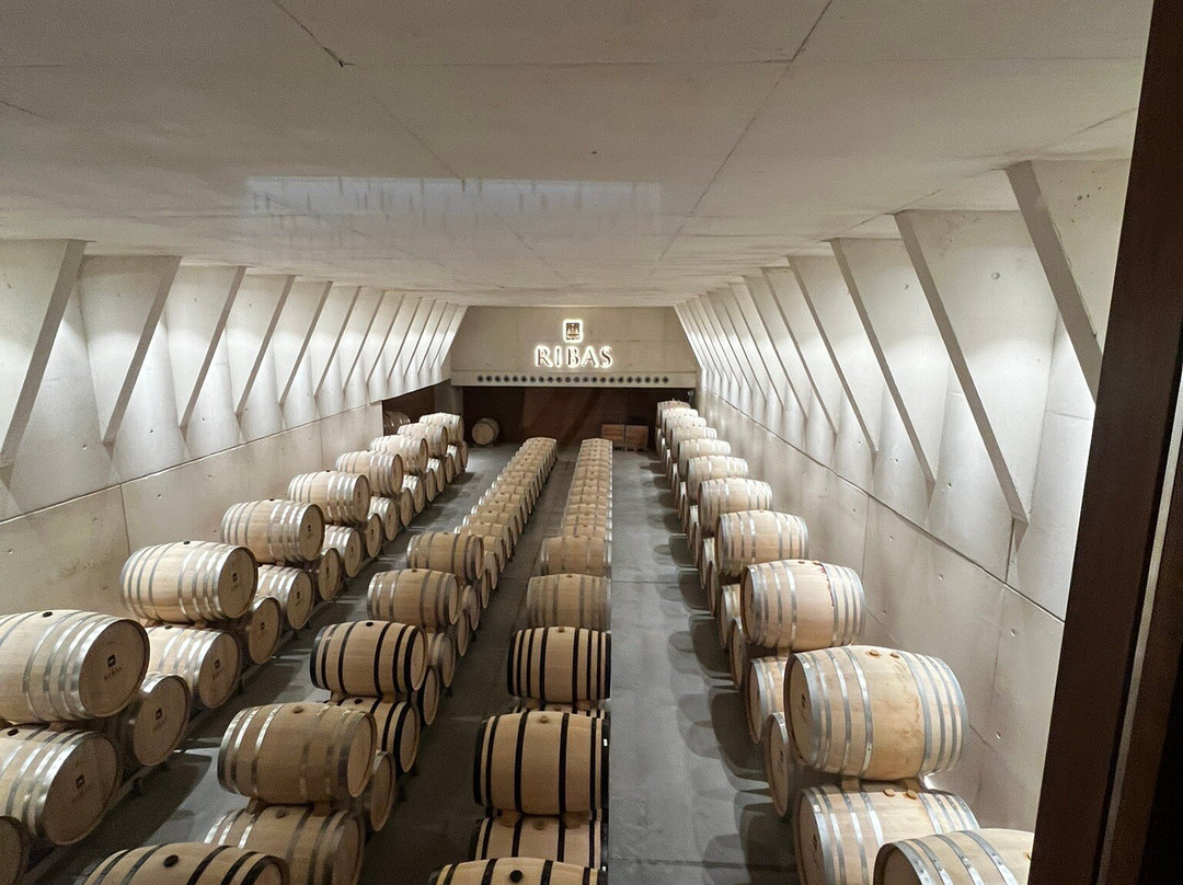 Bodega Ribas-Consell必去景点