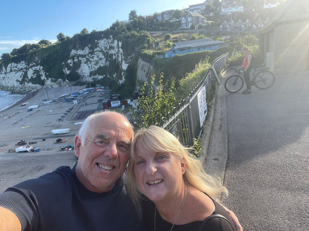 The Dolphin Hotel主图