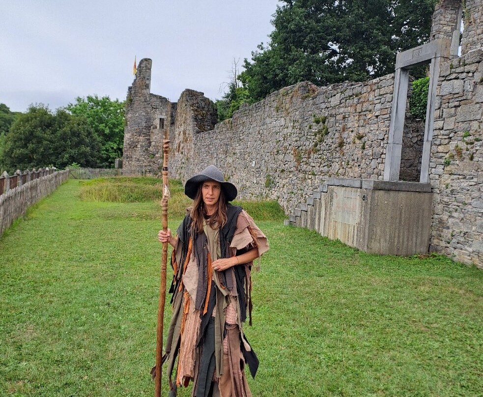 Ruins of the Castle of the Counts-瑞福必去景点