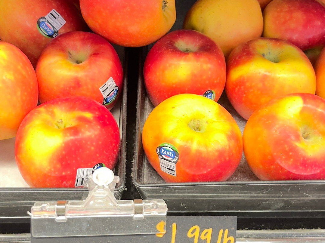 Pybus Public Market-韦纳奇必去景点