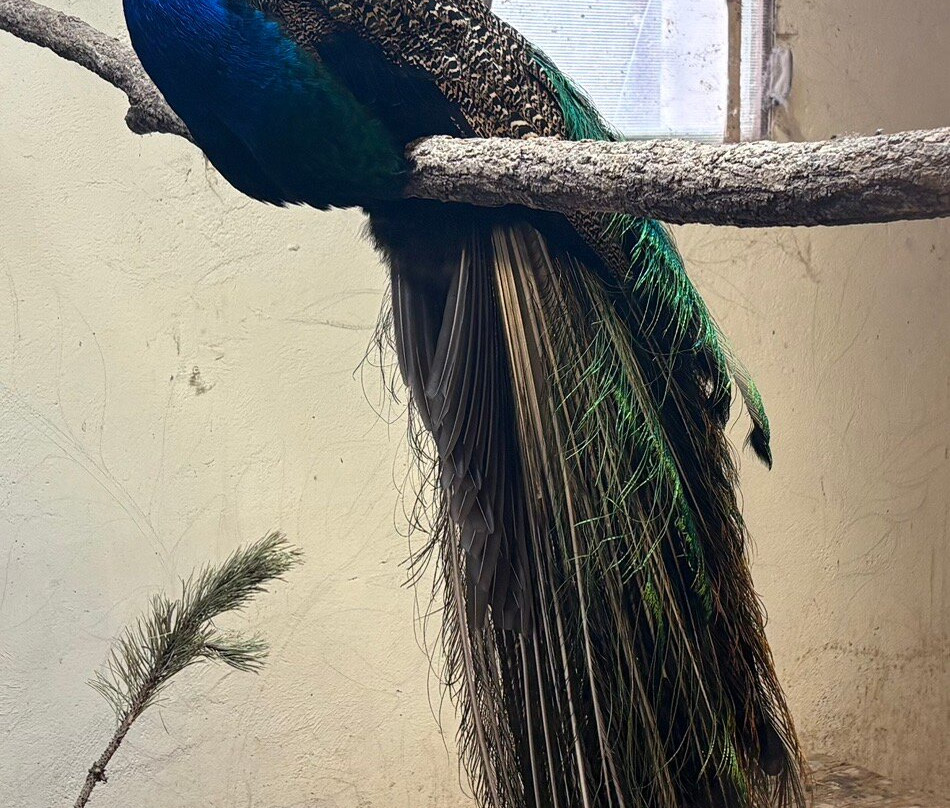 La Ferme du Rialet-La Llagonne必去景点