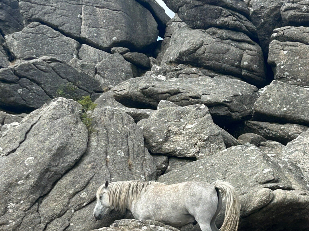 Hound Tor-达特穆尔国家公园必去景点