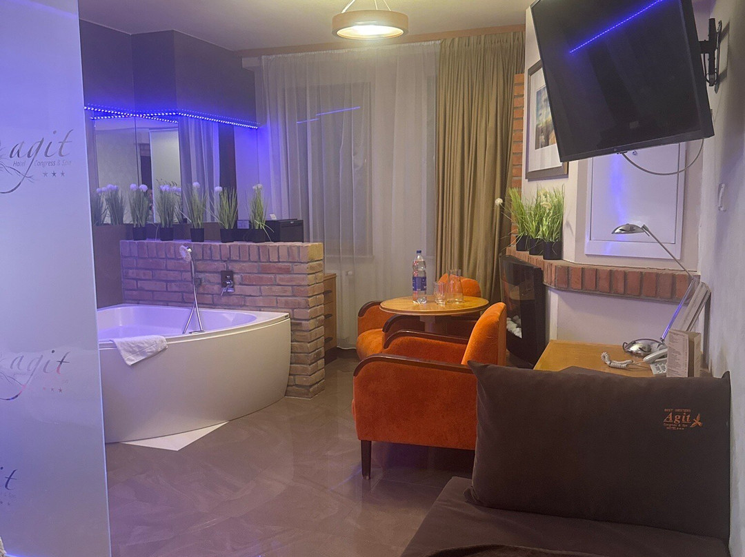 Agit Hotel Congress & Spa主图