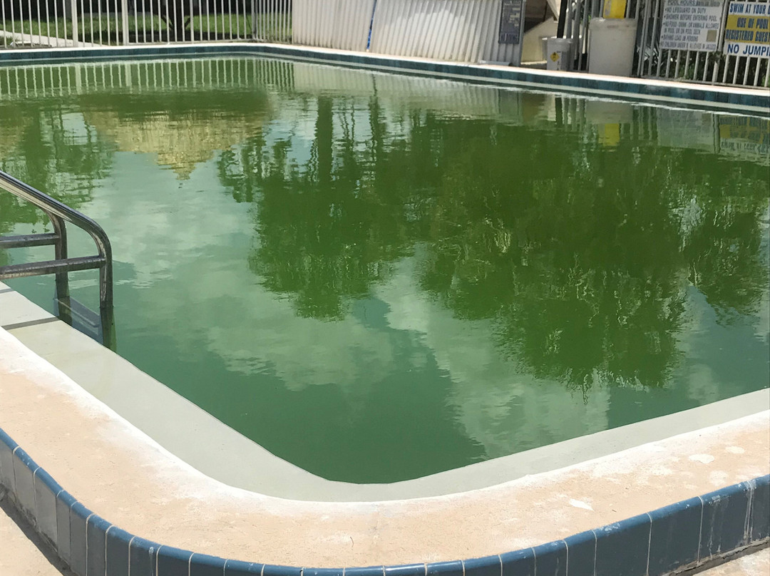 Warm Mineral Springs Motel主图