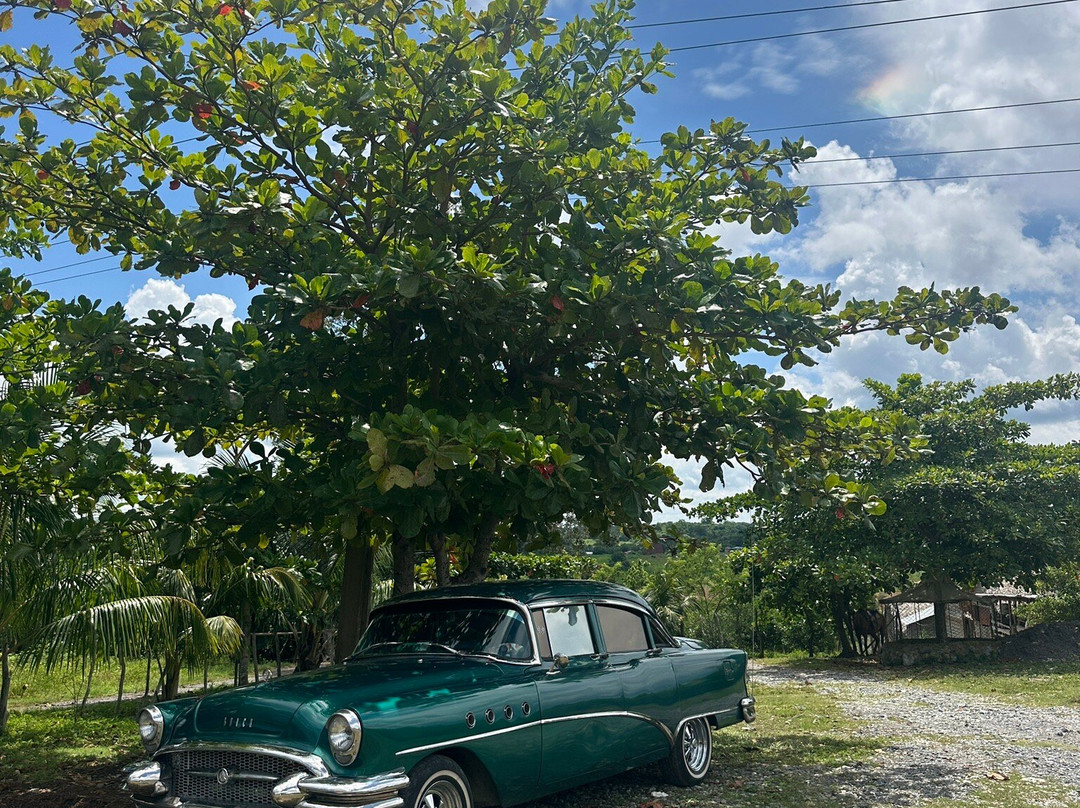 Havana 60 Classic Cars Tours-巴拉德罗必去景点
