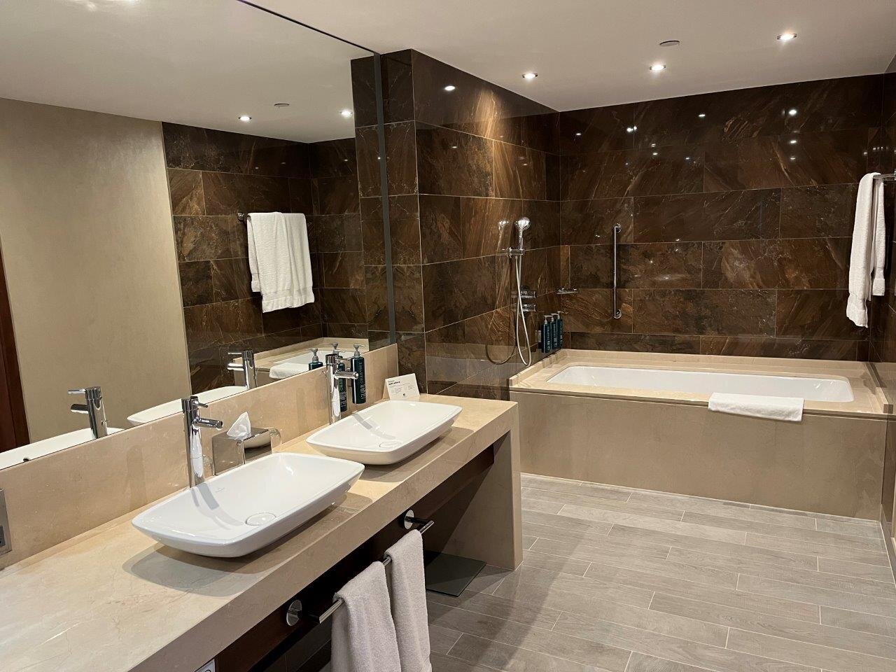 华沙希尔顿逸林酒店及会议中心-浴室