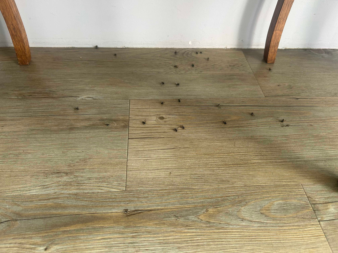 Hotel - Restaurant Baratxartea主图