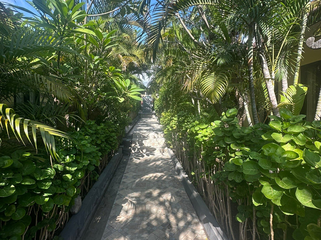 Scuba Tribe Bali-图兰本必去景点