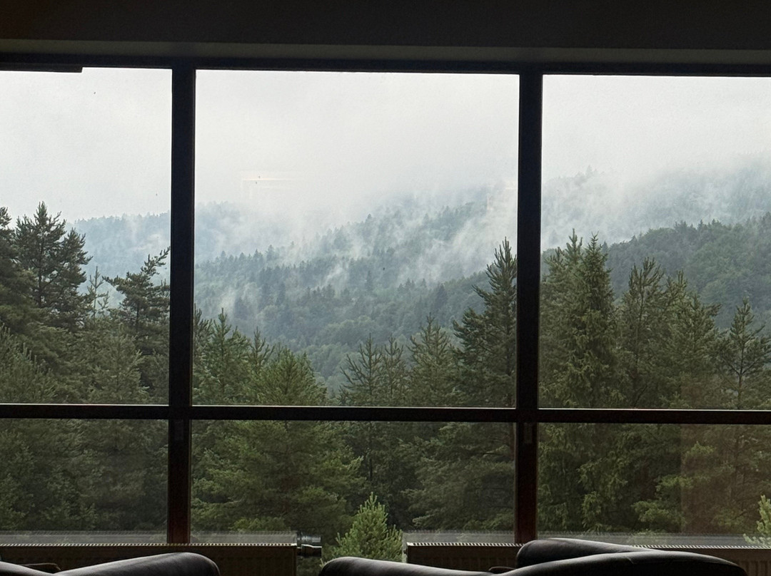 Hotel Spa Dr Irena Eris Krynica Zdrój 12+主图