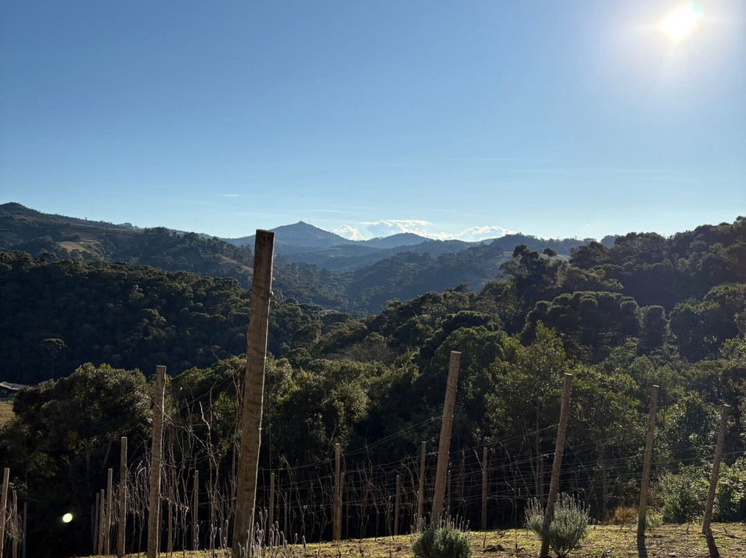 Vinícola Artesã-Goncalves必去景点