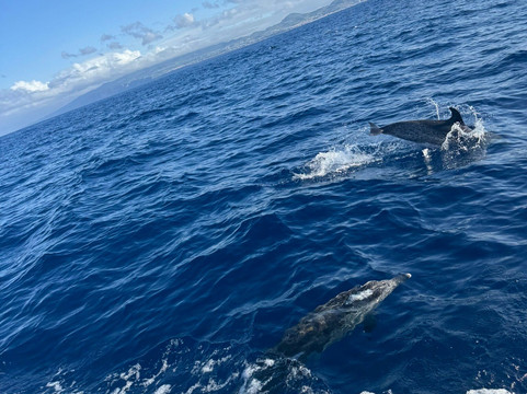 Futurismo Azores Adventures-蓬塔德尔加达必去景点