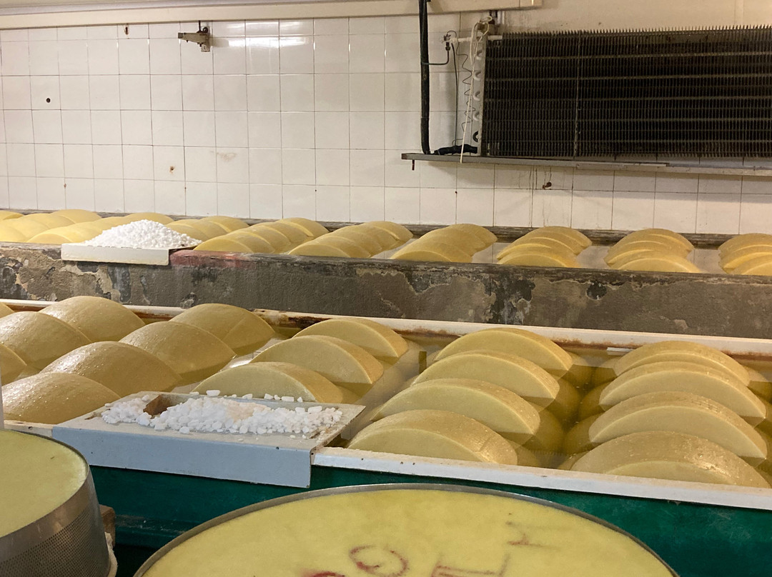 Caseificio San Pier Damiani-帕尔马必去景点