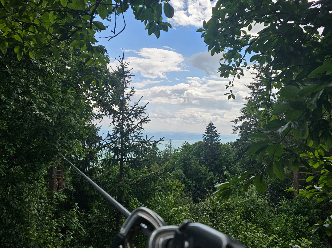 Parc Aventure Chaumont-Chaumont-de-Pury必去景点