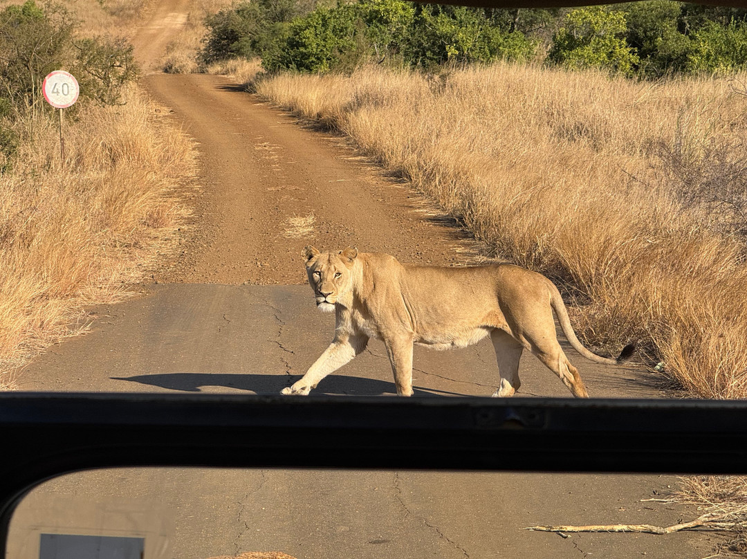 Discover Kruger Safaris-库马堤港必去景点